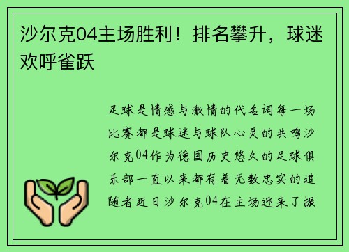 沙尔克04主场胜利！排名攀升，球迷欢呼雀跃